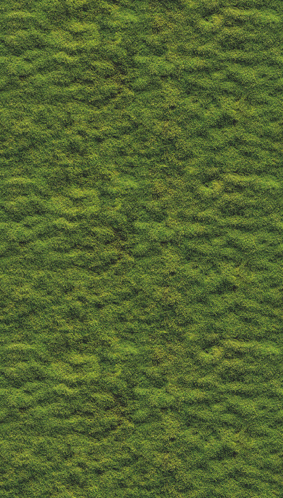 Фотообои A.S.Creation арт 39839-1 фото 1