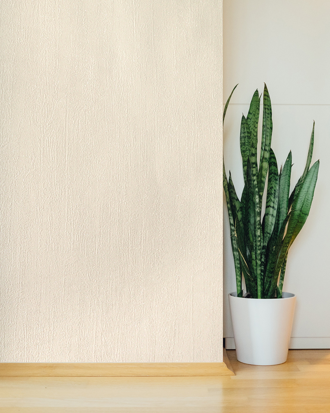 Обои Solo арт E201804 фото 2