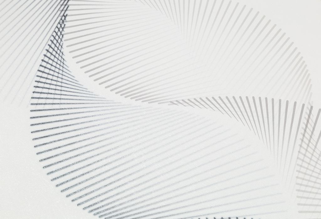 Обои Palitra Simple арт SP72037-41 фото 4