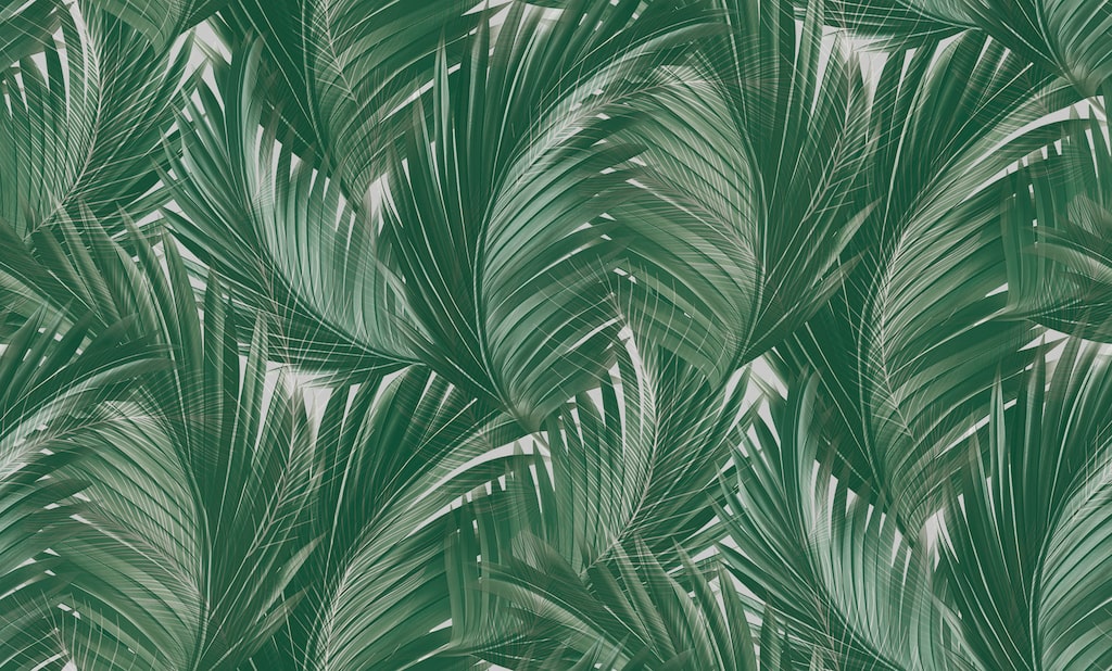 Обои Wiganford арт HK66051 фото 1