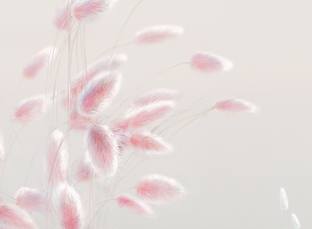 Фрески Applico арт 0032-A фото 5