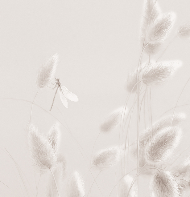 Фрески Applico арт 0032-C фото 4