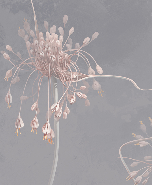 Фрески Applico арт 0041-A фото 4