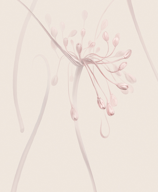 Фрески Applico арт 0041-B фото 3