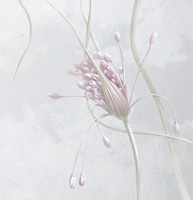 Фрески Applico арт 0041-S1 фото 5