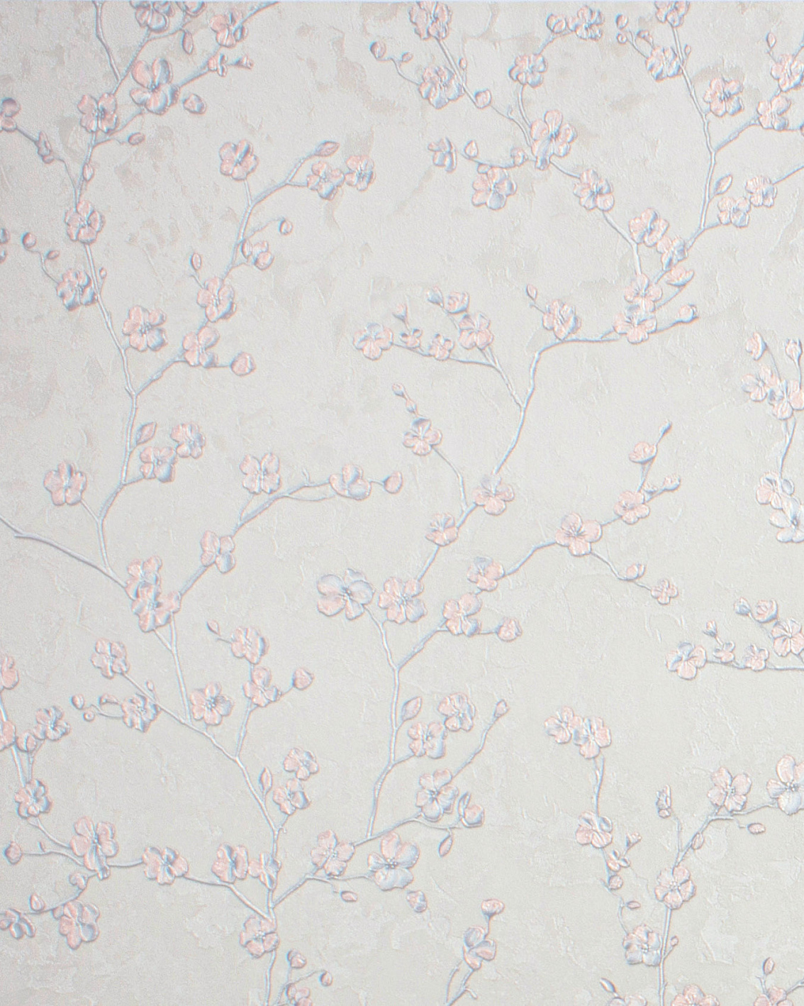 Обои Accento арт 588385 фото 1