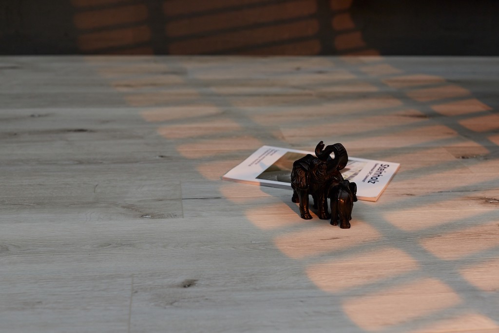 SPC Steinholz арт STH006 фото 4