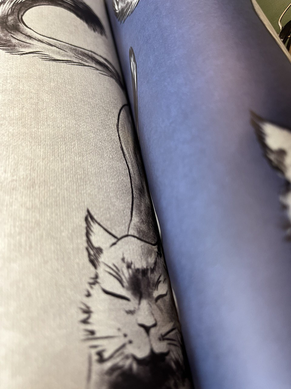 Фотообои Room Reform арт RB010304_78 фото 2