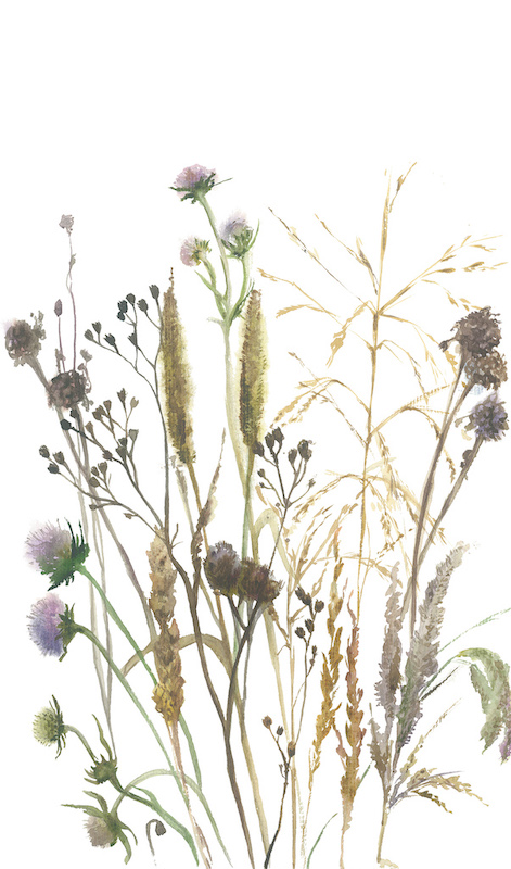 Фотообои Marburg арт 35799 фото 1