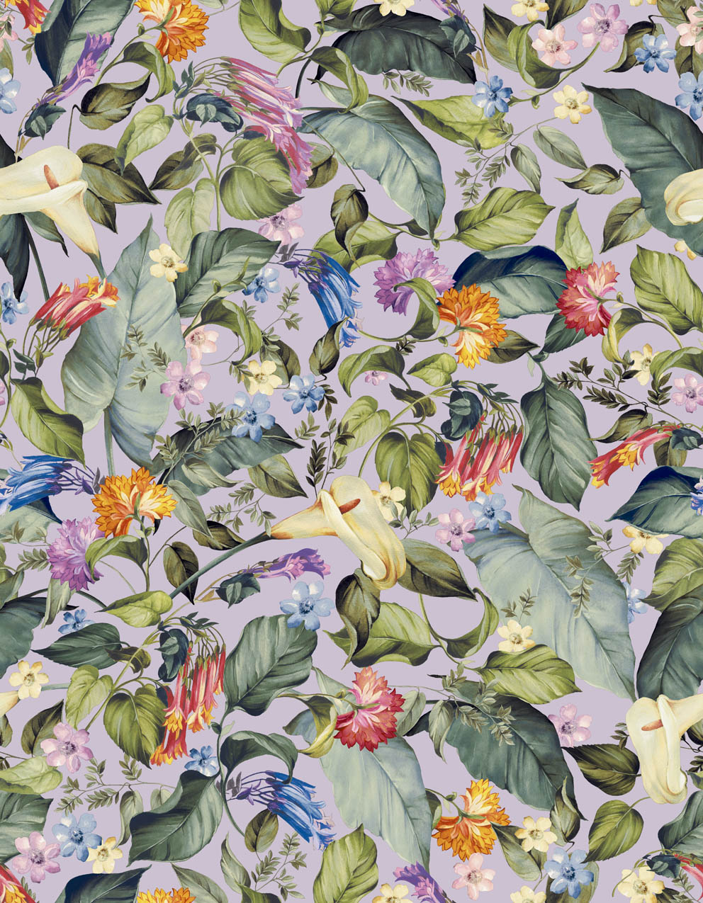 Обои Jannelli & Volpi арт J19 5837 фото 1