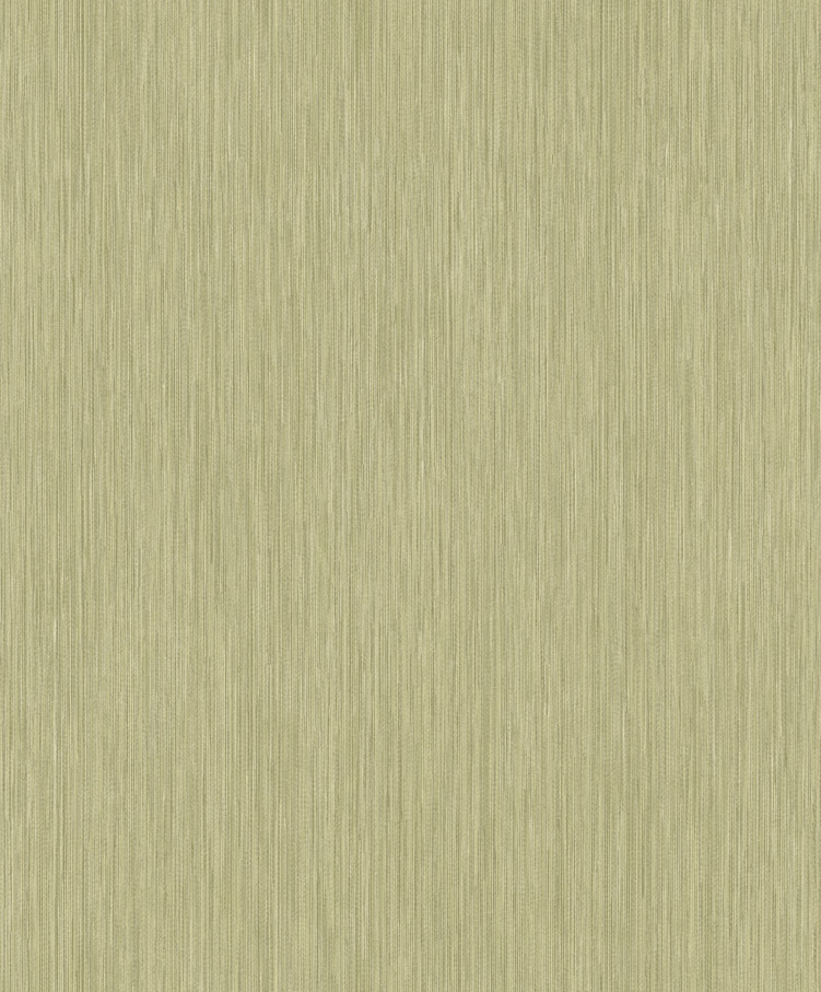 Обои Sirpi арт 1VR 25256 фото 1