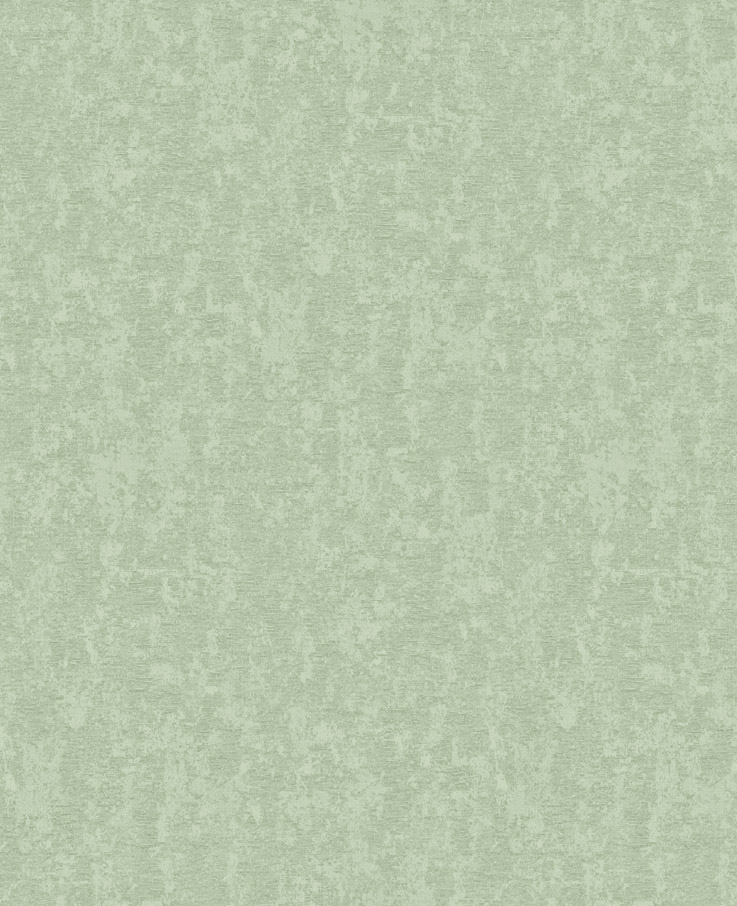 Обои Sirpi арт 1VR 25275 фото 1