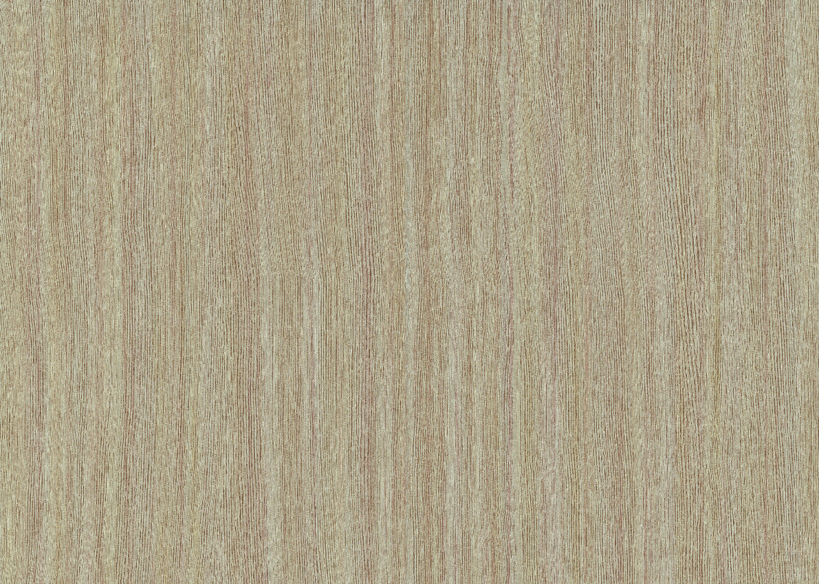 Обои Sirpi арт 1VV 25710 фото 1