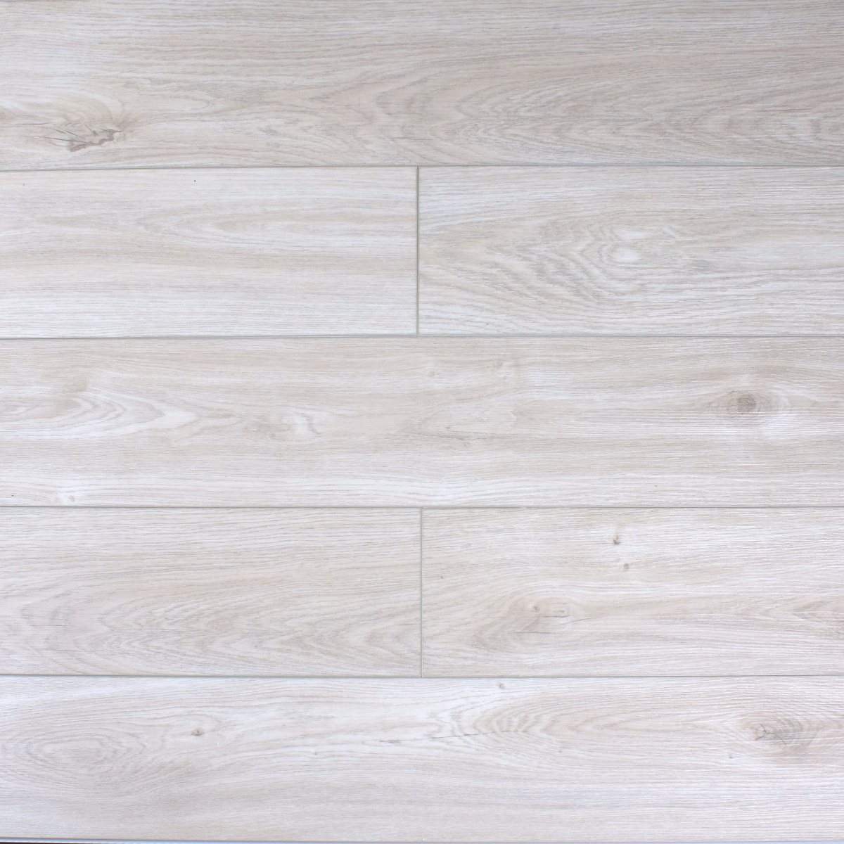 SPC Amadei арт 47119 Челеста фото 1