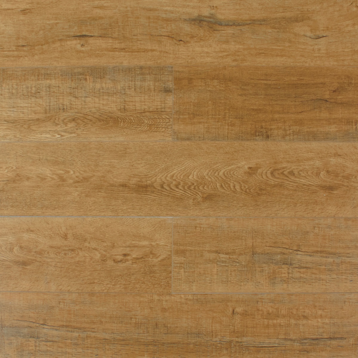 SPC Amadei арт 47149 Тарелки фото 1