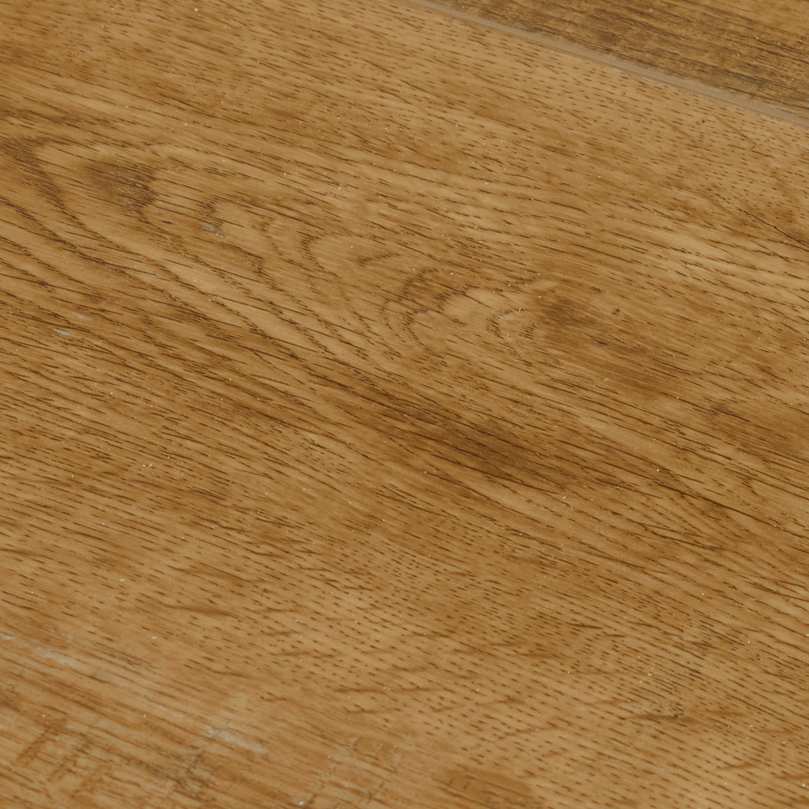 SPC Amadei арт 47149 Тарелки фото 3