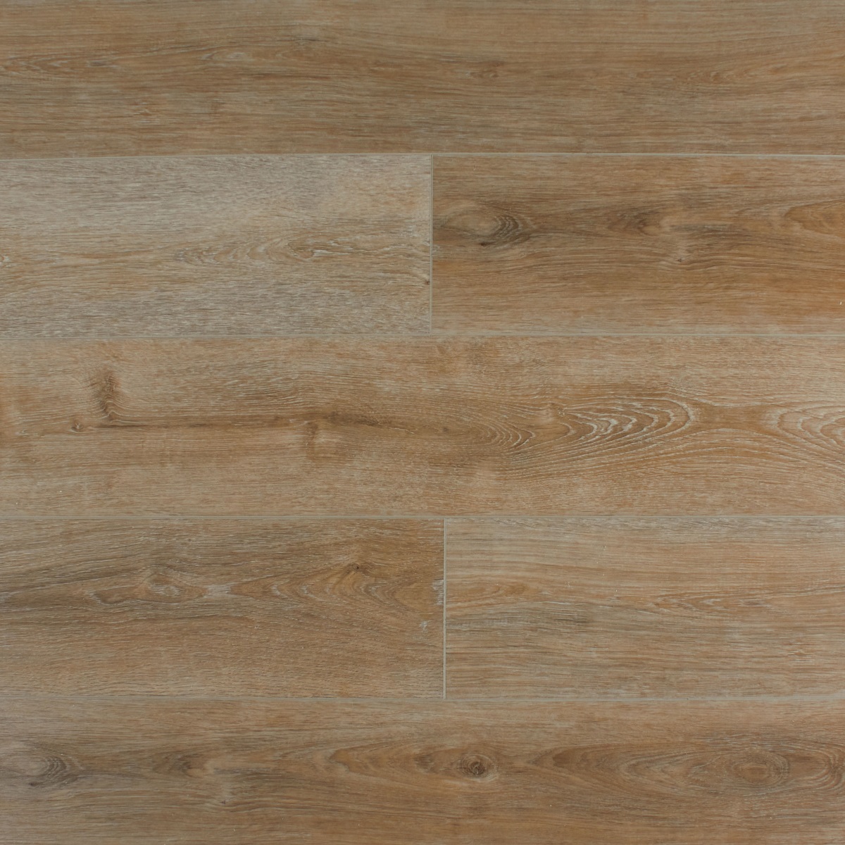 SPC Amadei арт 47159 Барабан фото 1