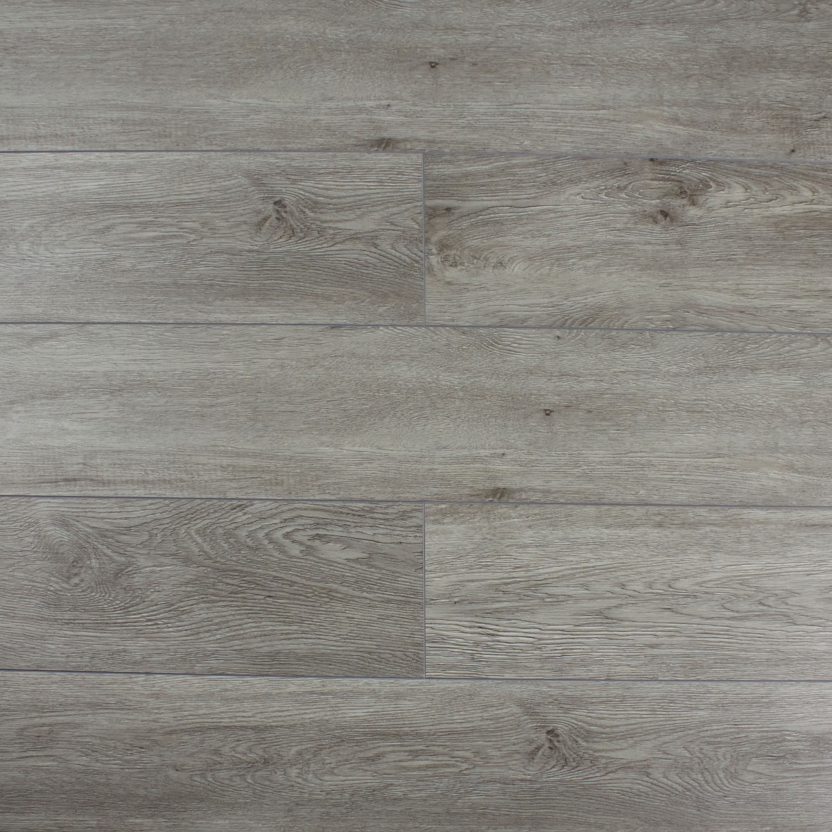 SPC Amadei арт 44039 Признание фото 1