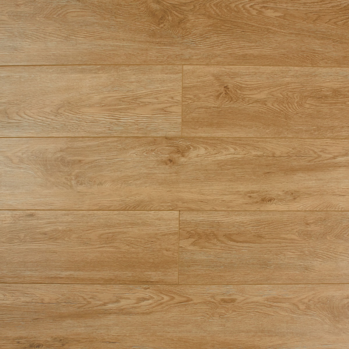 SPC Amadei арт 44049 Табун фото 1