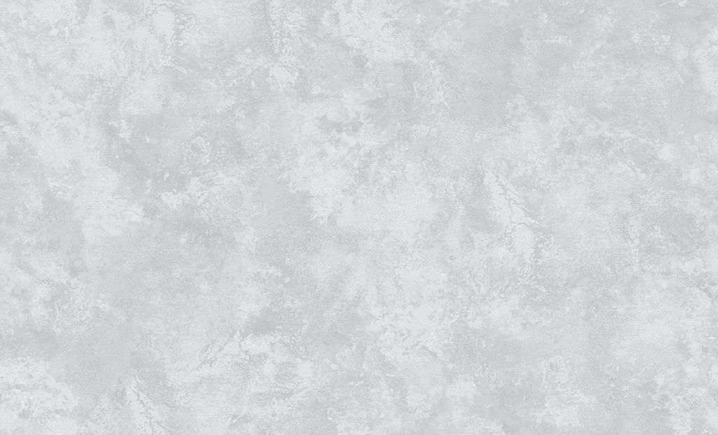 Обои Erismann арт 60864-04 фото 1