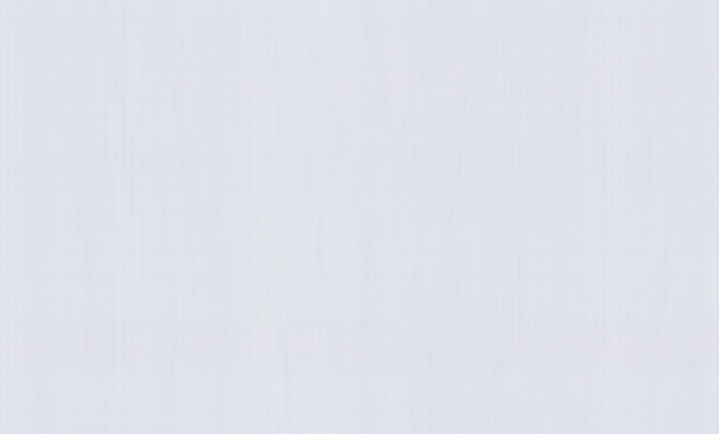 Обои Palitra Style арт SL72482-55 фото 1