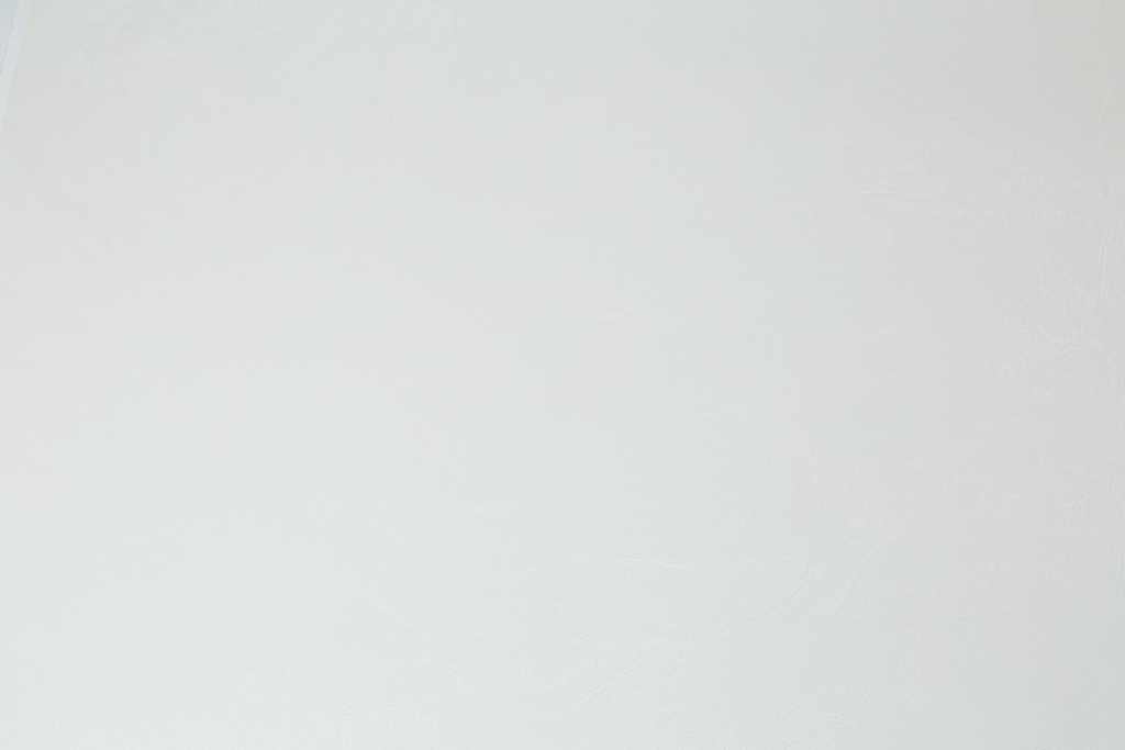 Обои Palitra Family арт FM72488-12 фото 6