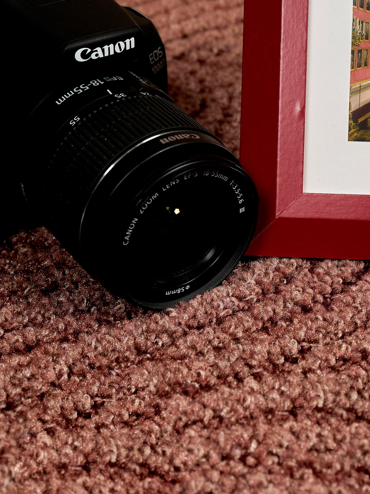 Ковролин Нева Тафт арт 00030218 фото 2