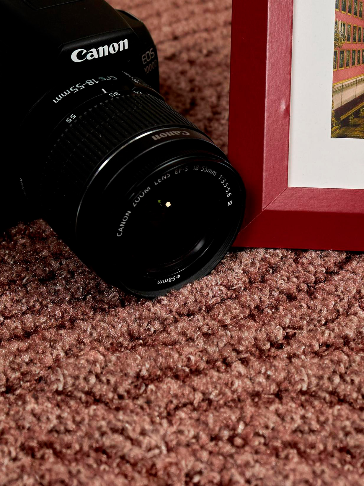 Ковролин Нева Тафт арт 00927705 фото 2