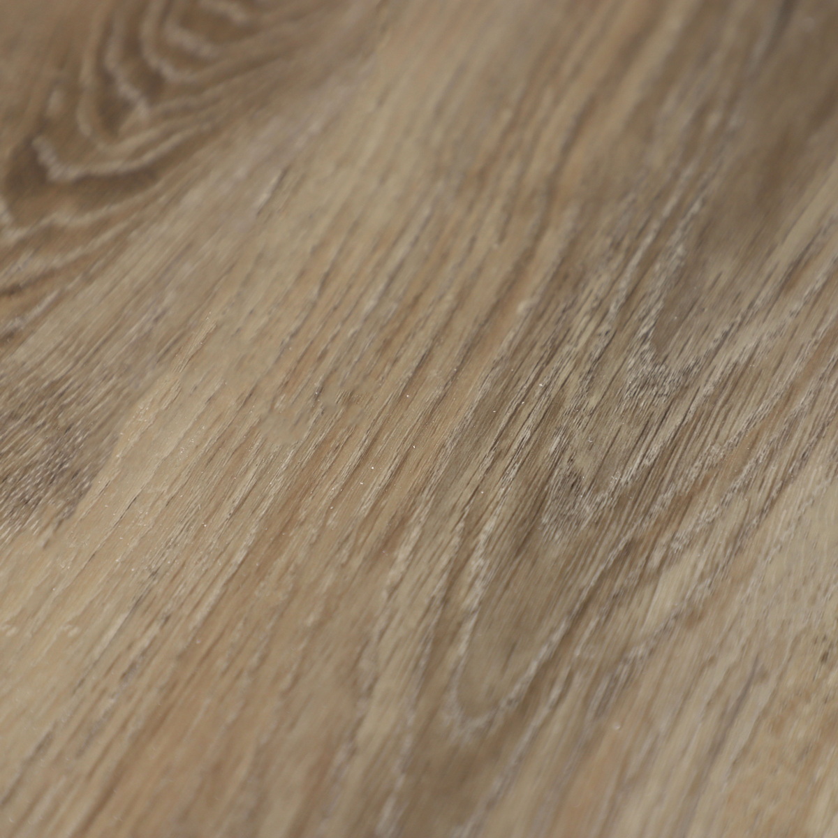 SPC Amadei арт 416199 Горация фото 2