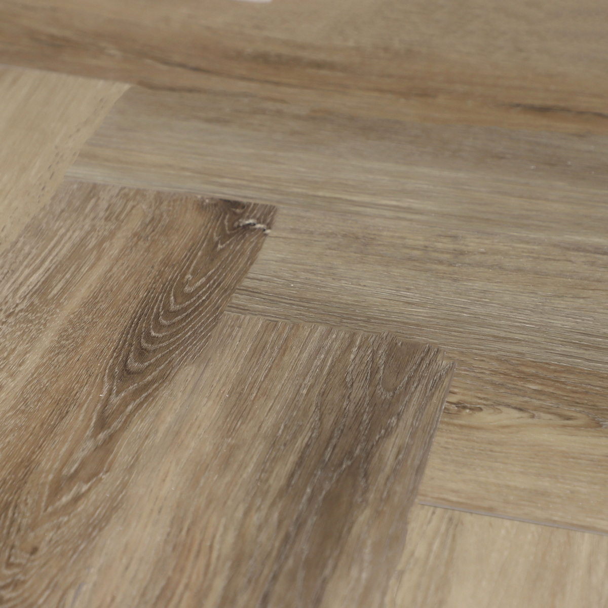 SPC Amadei арт 416199 Горация фото 3