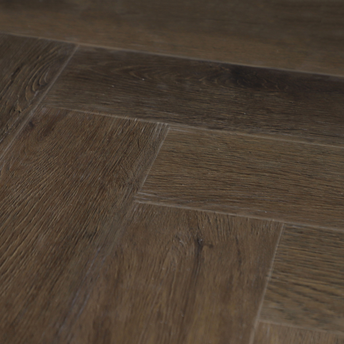 SPC Amadei арт 416209 Царлино фото 3