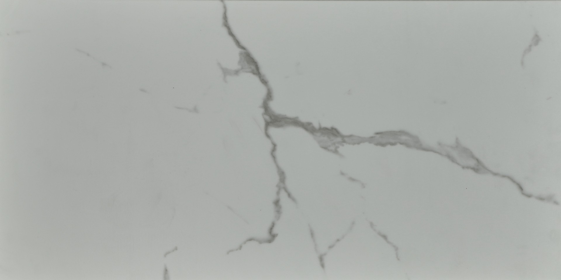 SPC Amadei арт 420329 Мантуанский фото 3