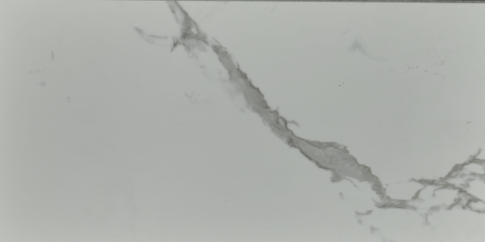 SPC Amadei арт 420329 Мантуанский фото 5