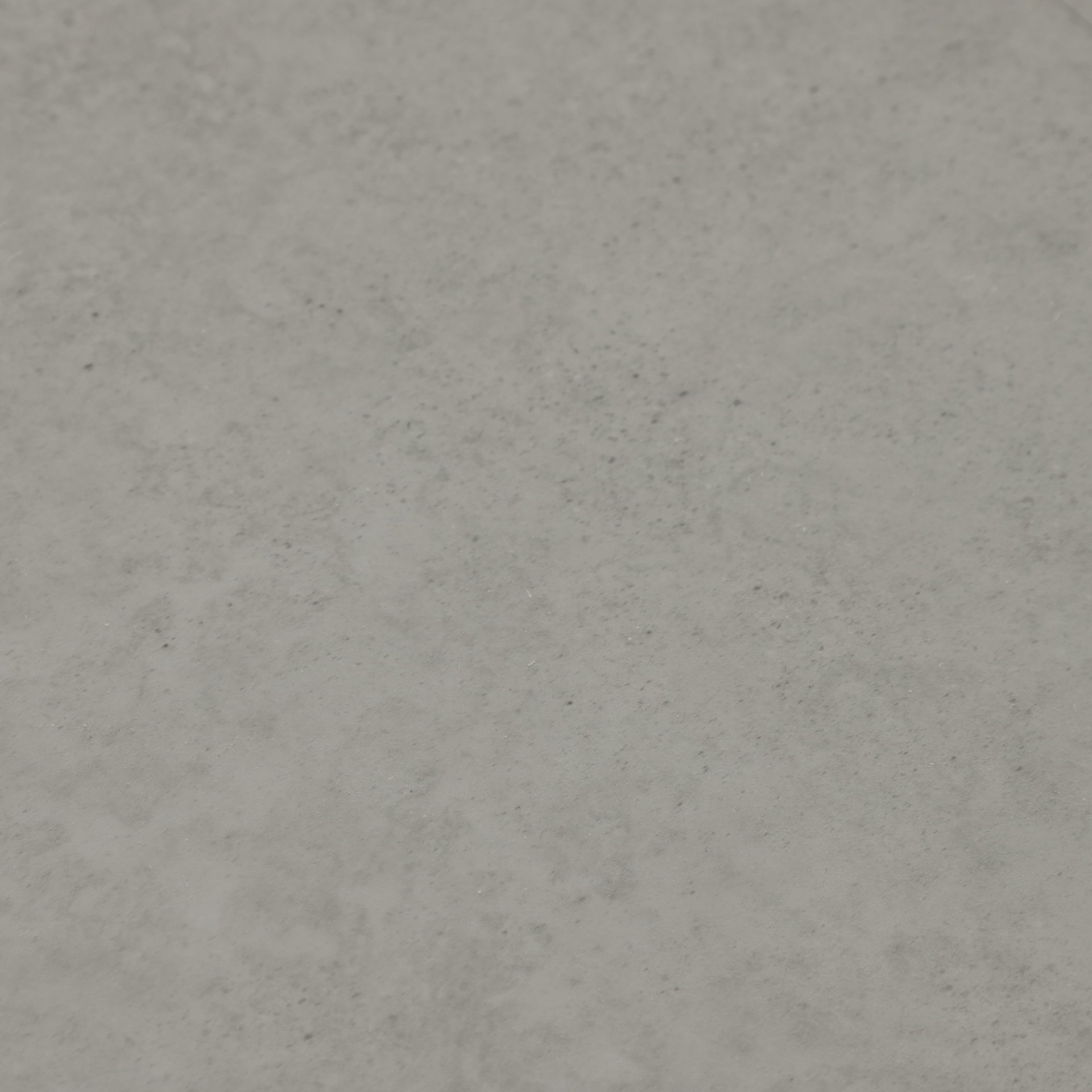 SPC Amadei арт 420339 Тассо фото 2