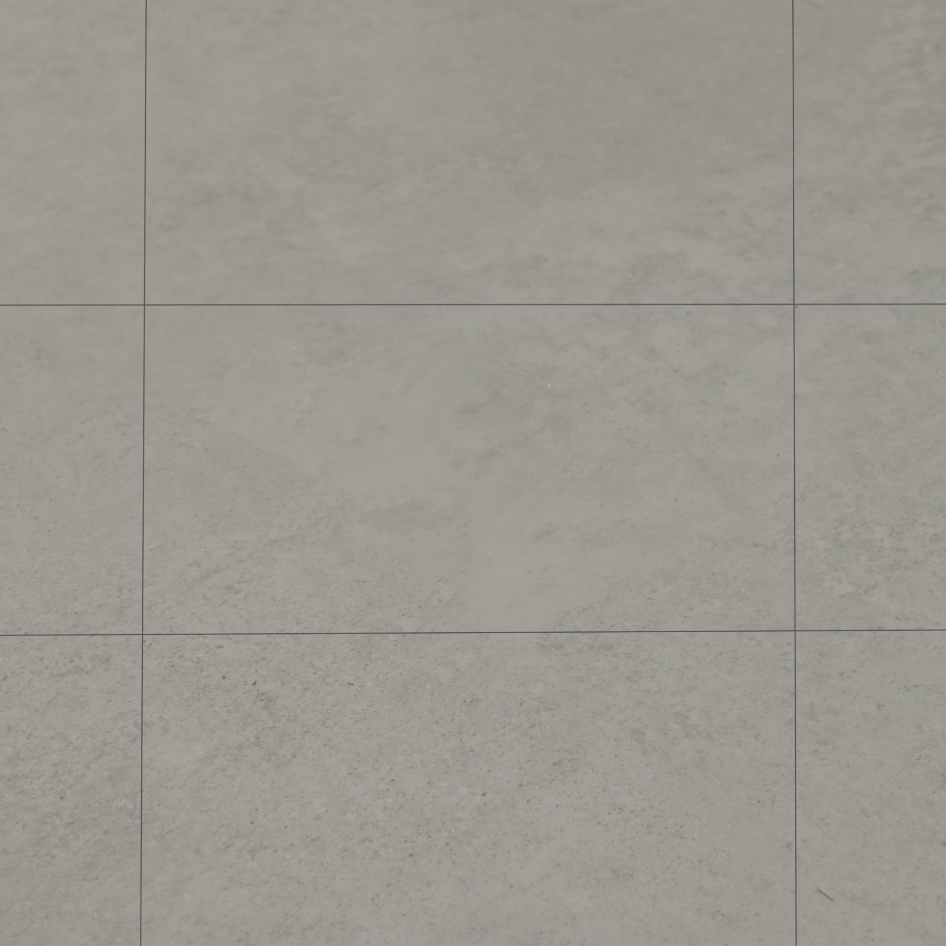 SPC Amadei арт 420339 Тассо фото 1