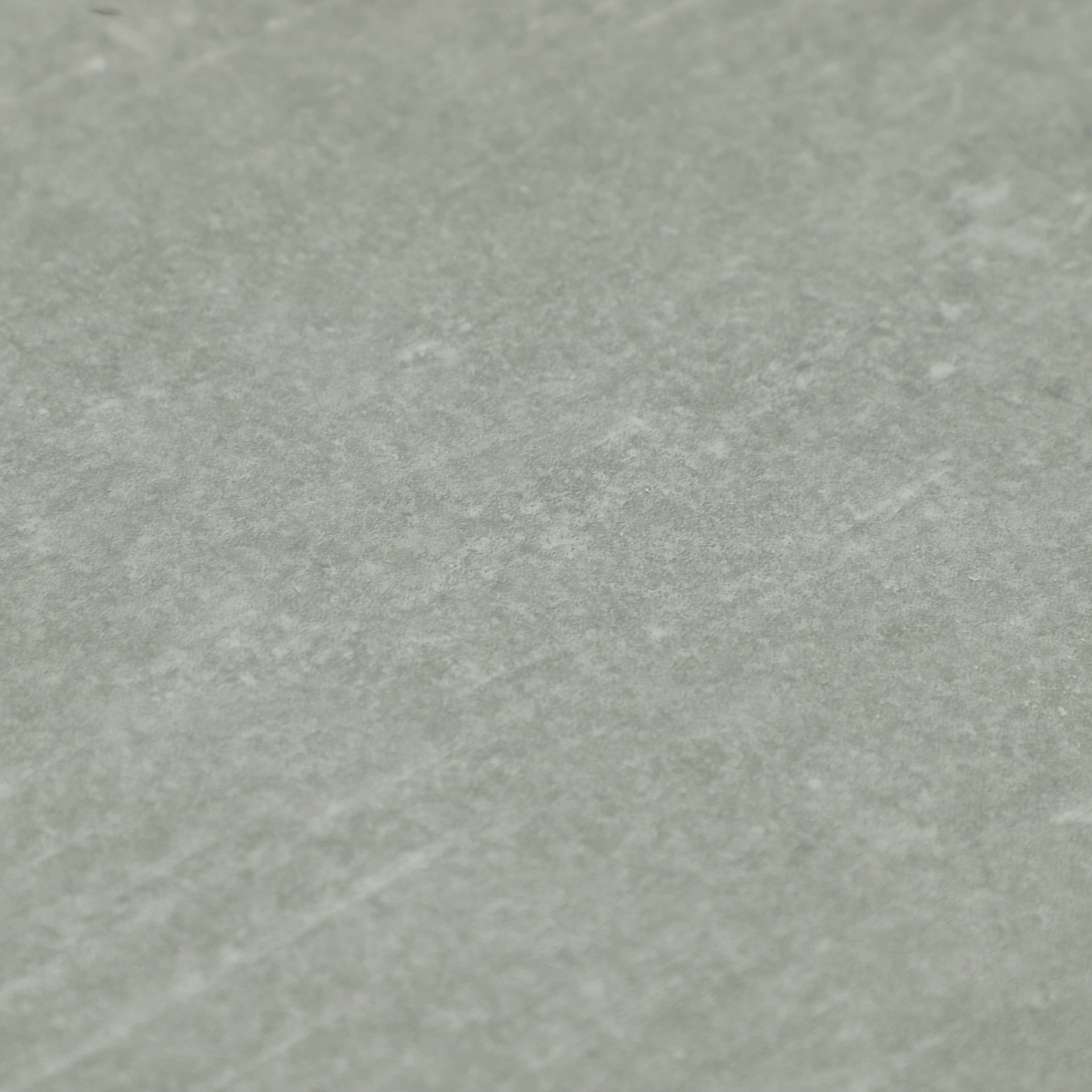 SPC Amadei арт 420379 Танкреда фото 2