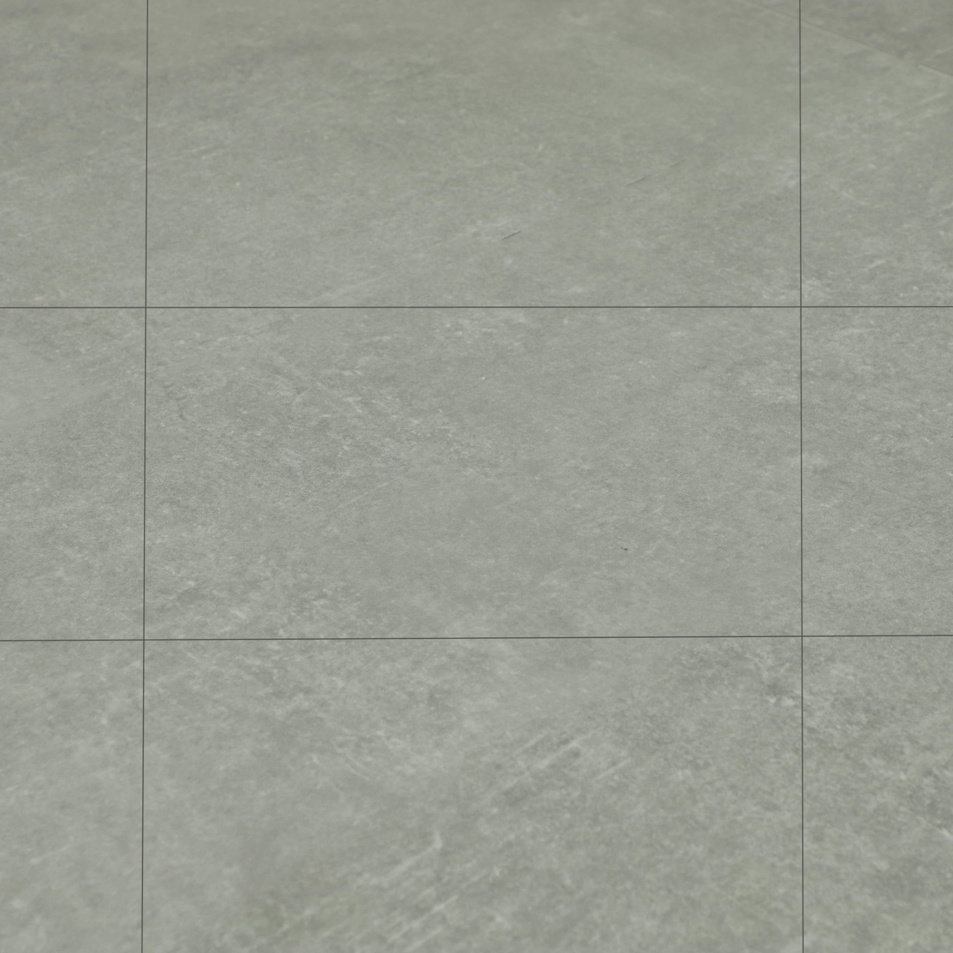 SPC Amadei арт 420379 Танкреда фото 1