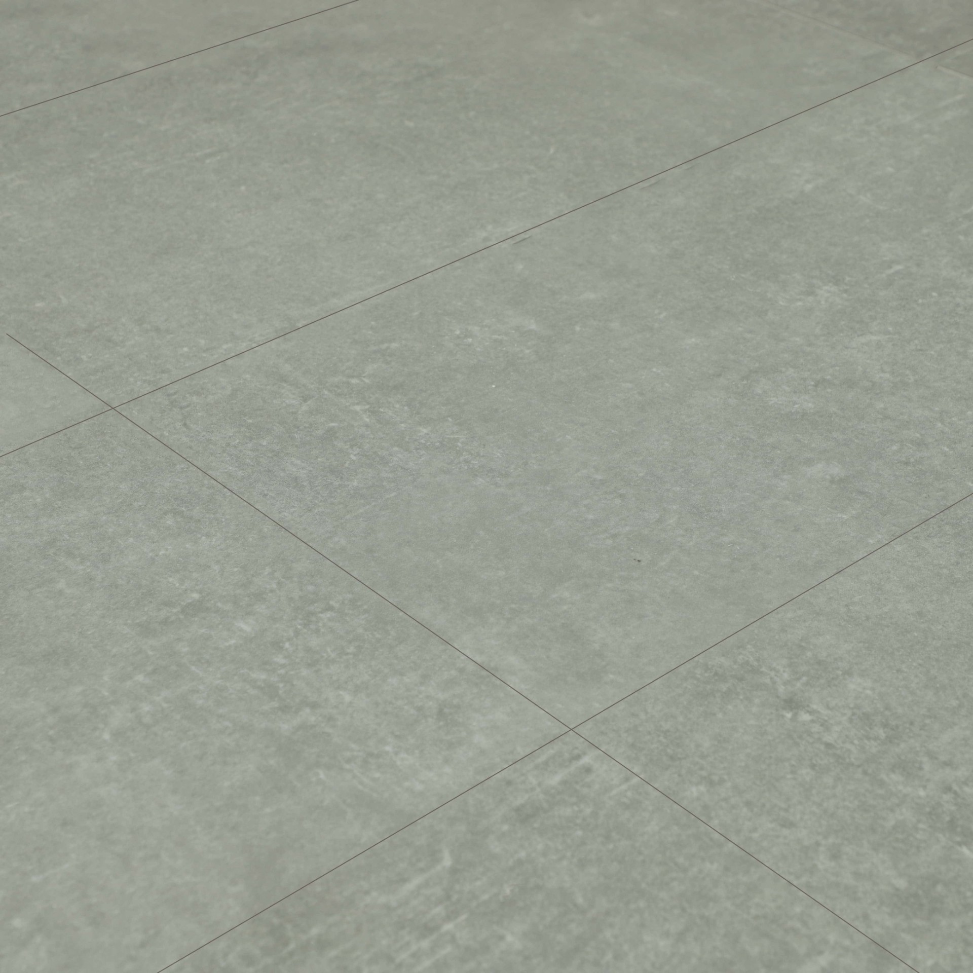 SPC Amadei арт 420379 Танкреда фото 4