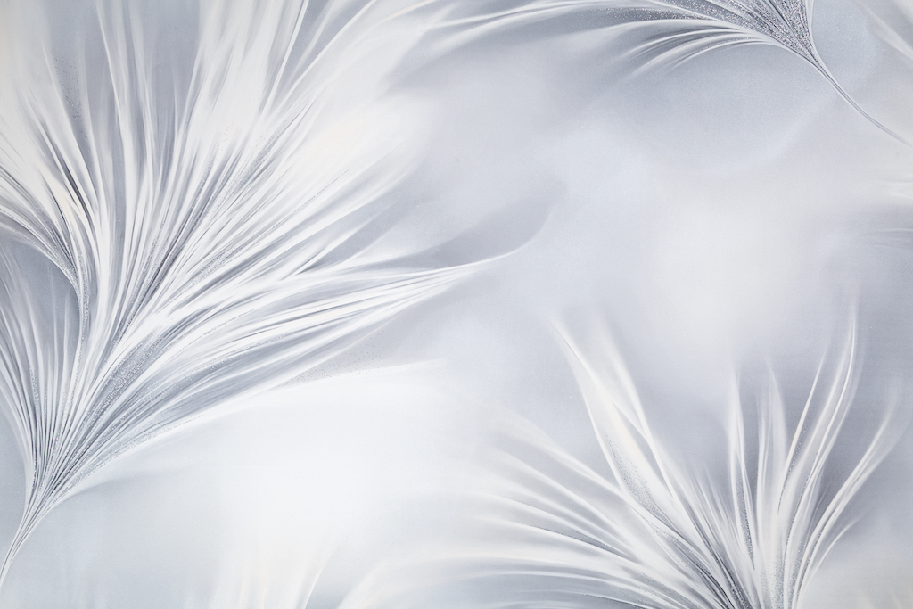 Обои Palitra Style арт SL72483-41 фото 6