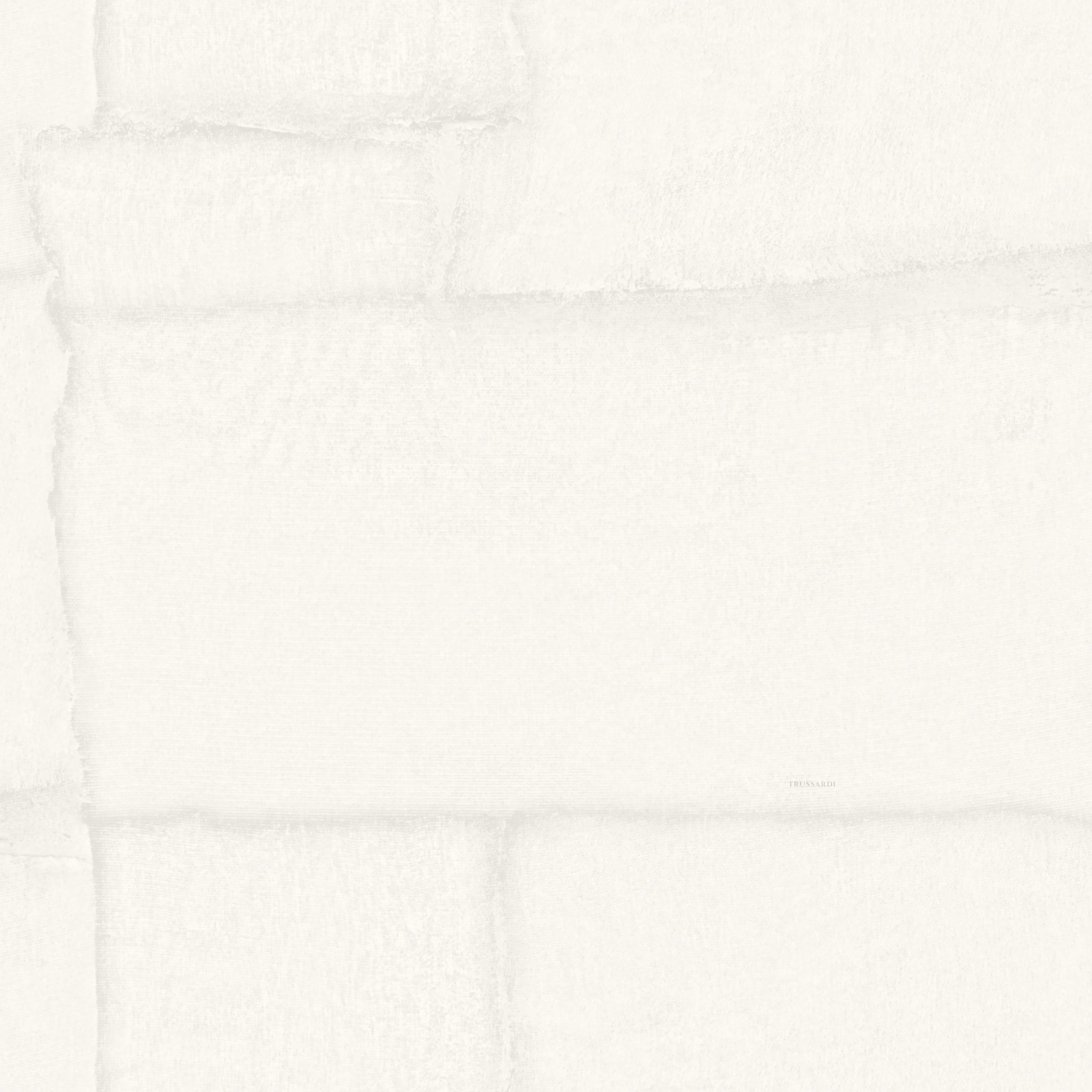 Обои Trussardi арт Z30302 фото 1