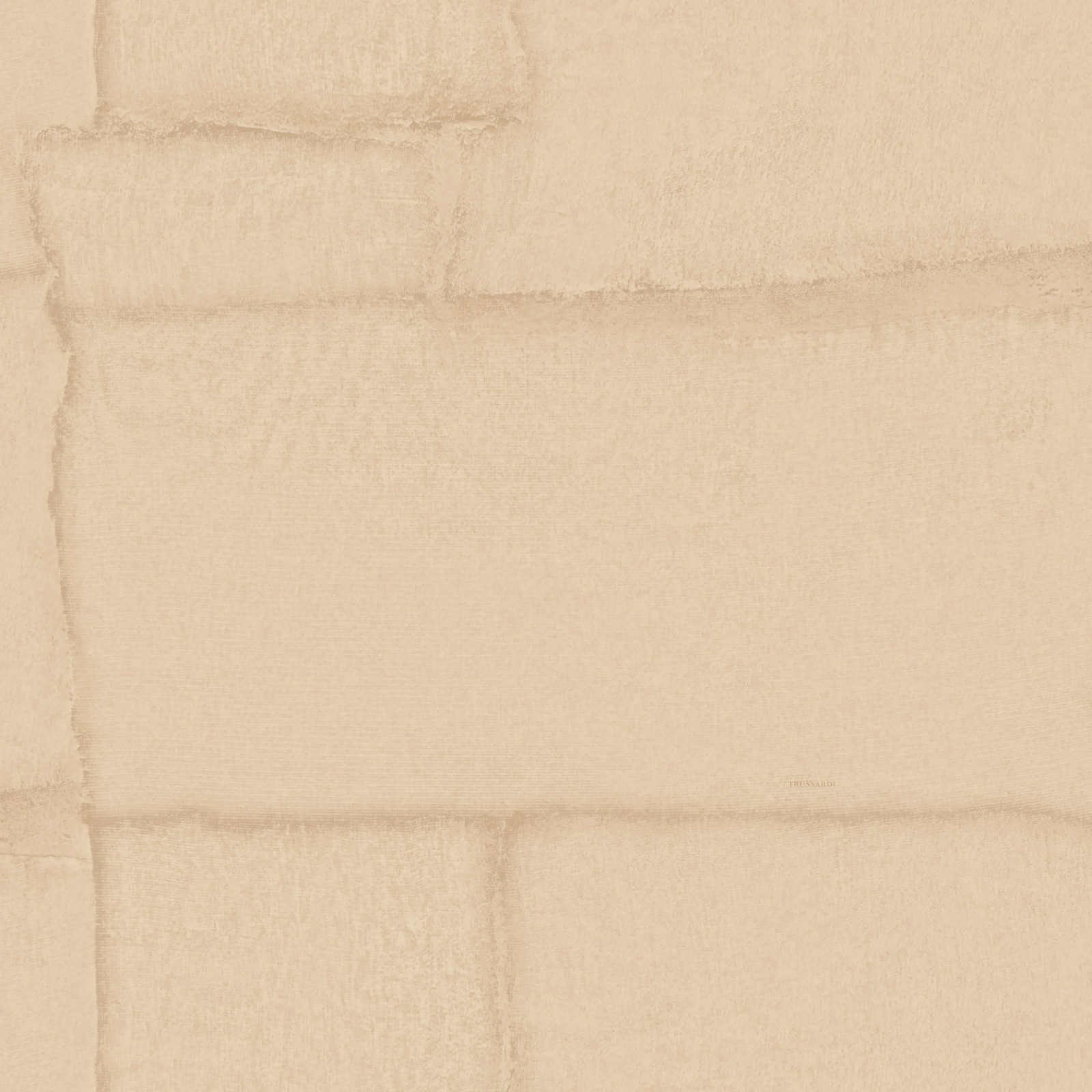 Обои Trussardi арт Z30304 фото 1