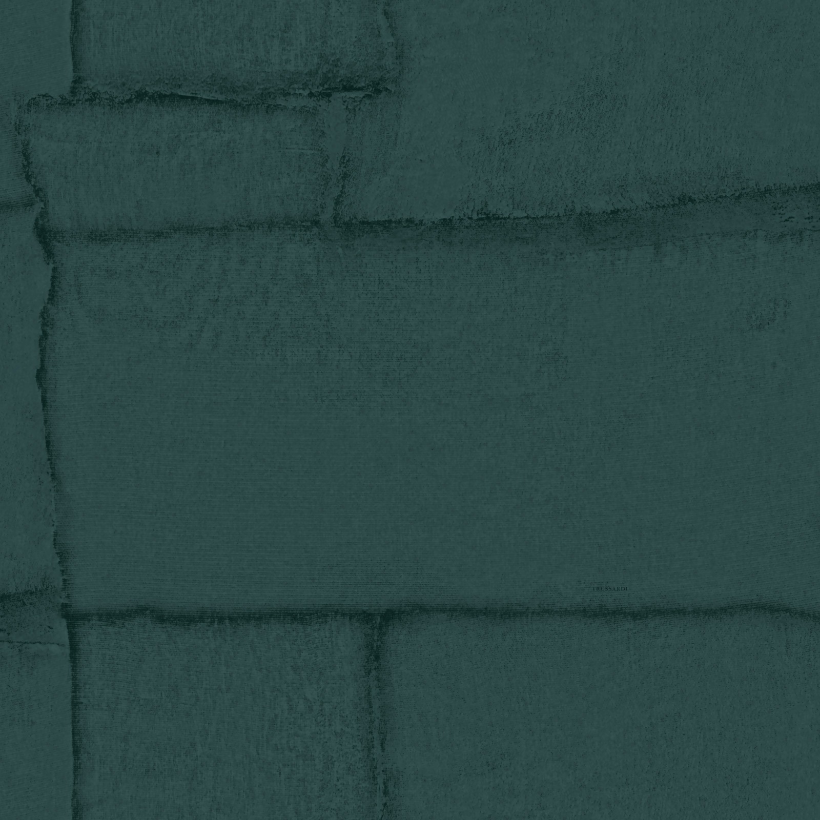 Обои Trussardi арт Z30306 фото 1