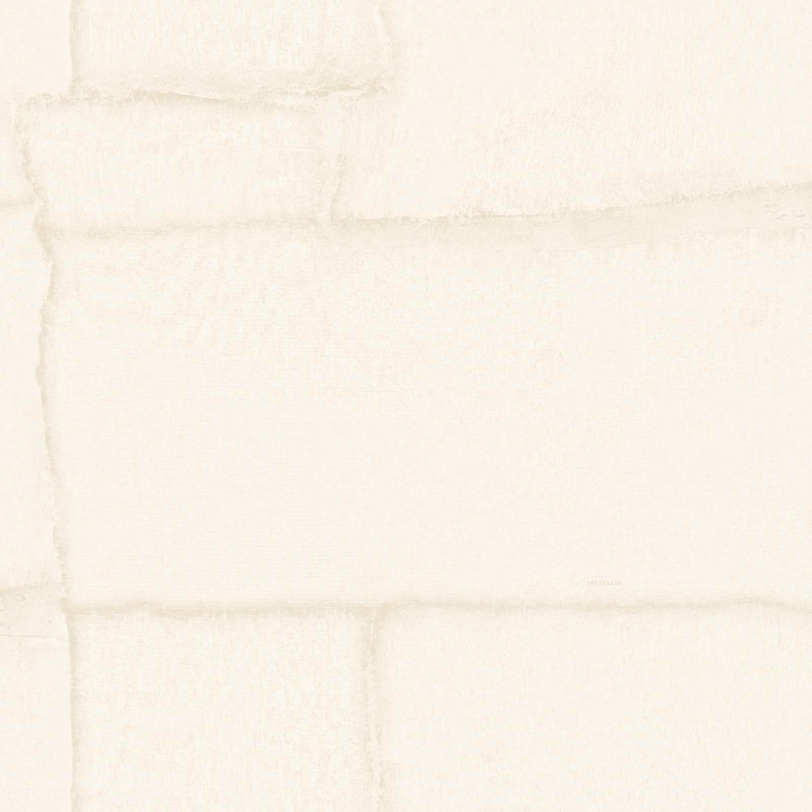 Обои Trussardi арт Z30307 фото 1