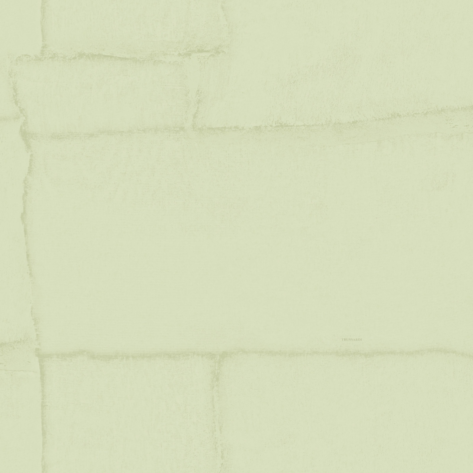 Обои Trussardi арт Z30310 фото 1