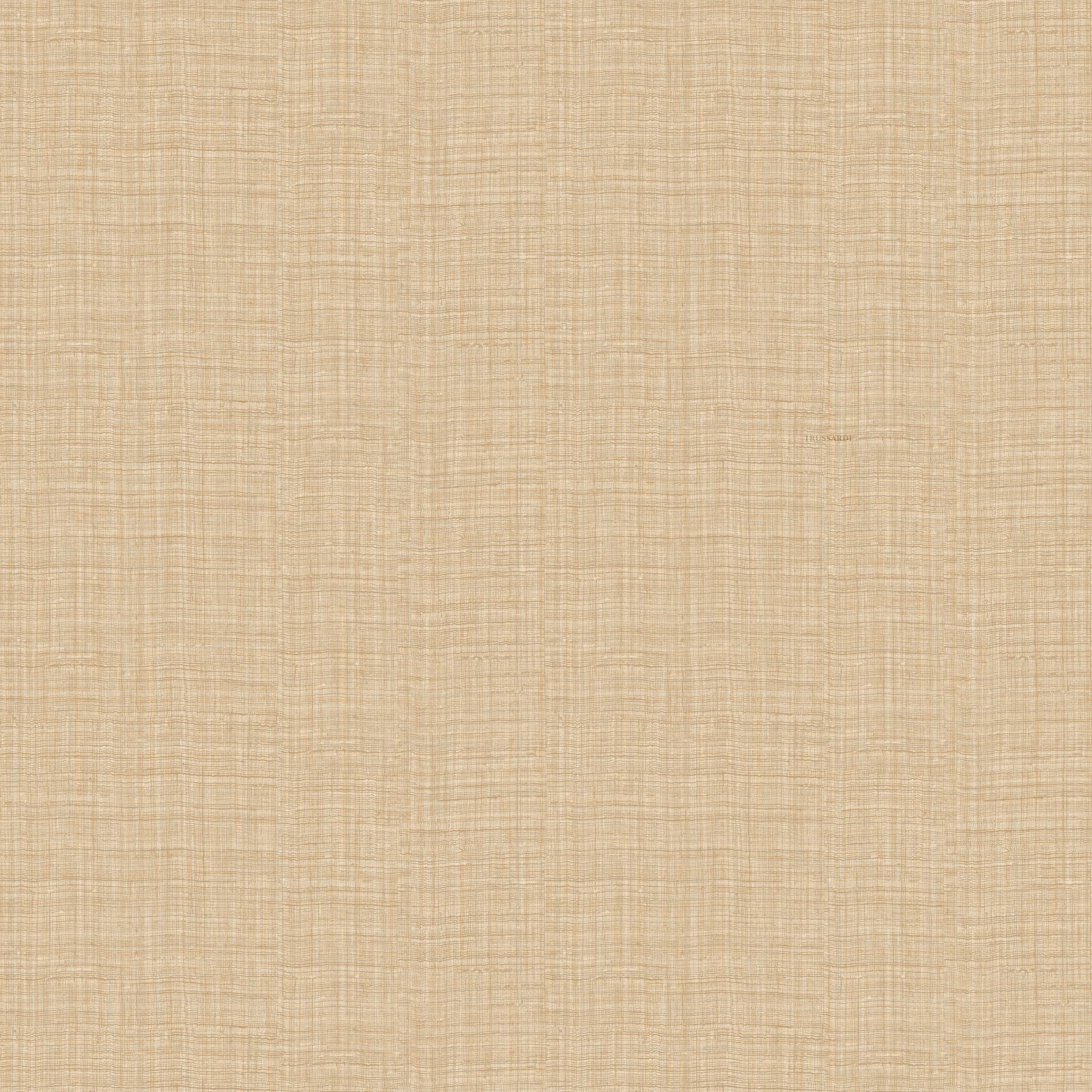 Обои Trussardi арт Z30329 фото 1