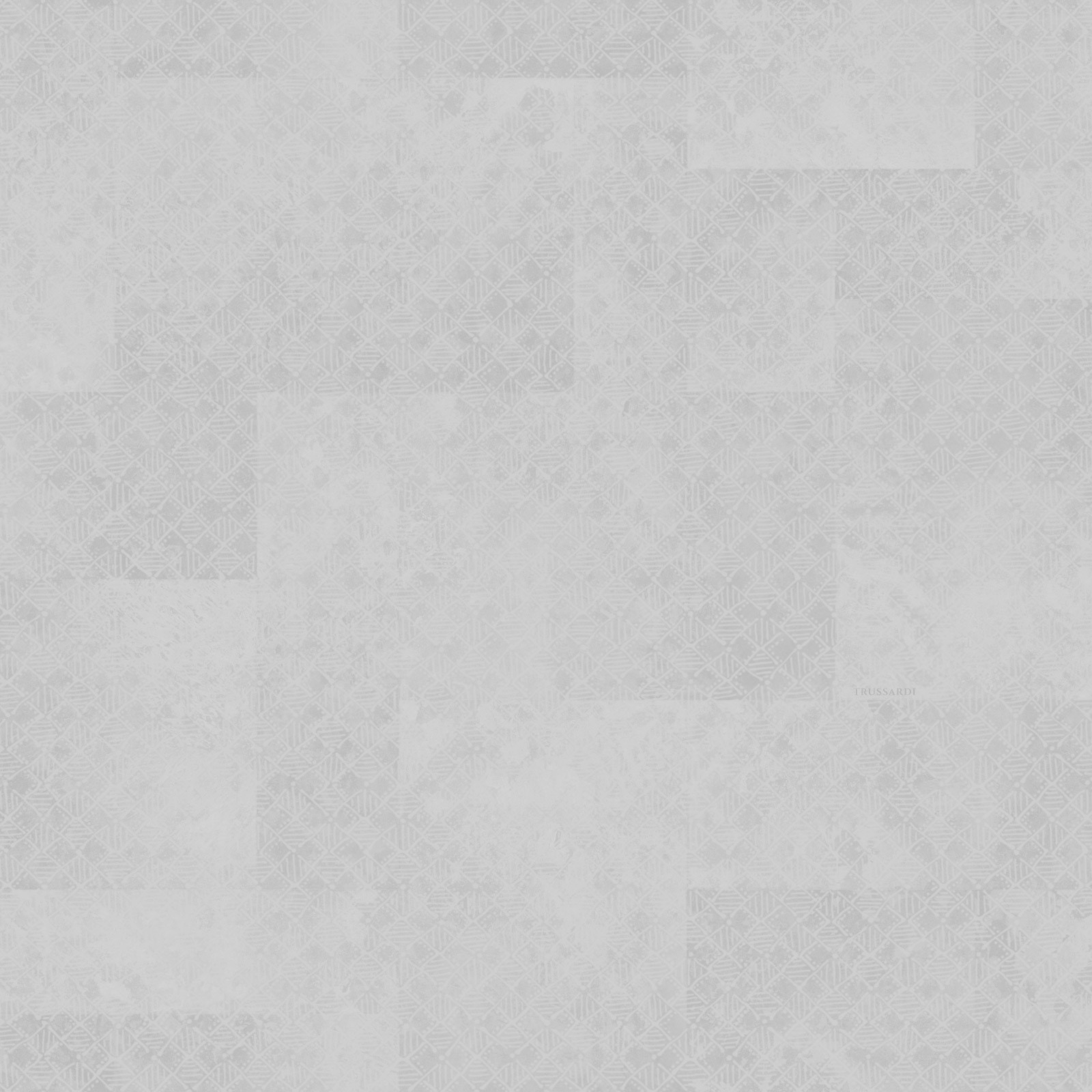 Обои Trussardi арт Z30340 фото 1