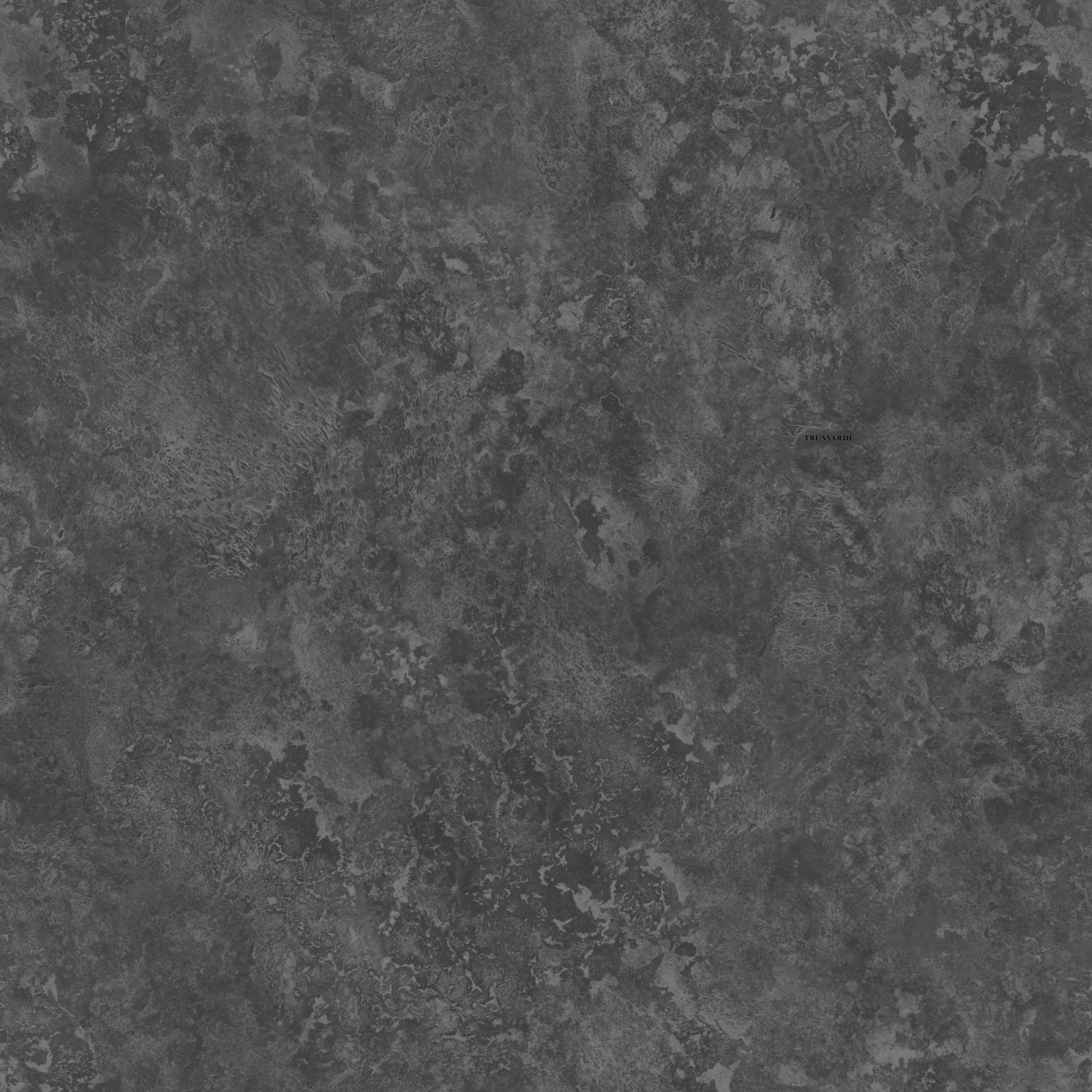 Обои Trussardi арт Z30343 фото 1