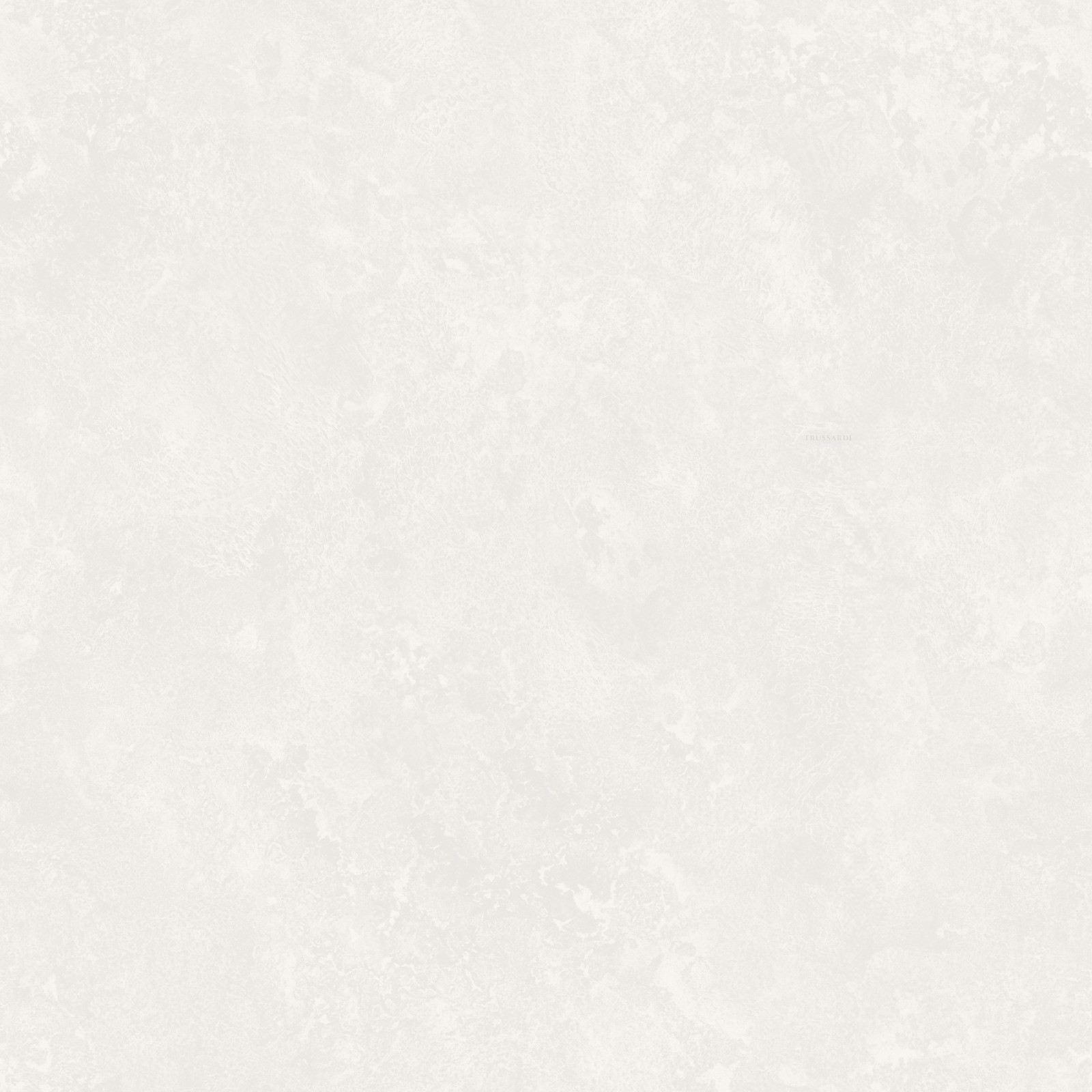 Обои Trussardi арт Z30344 фото 1