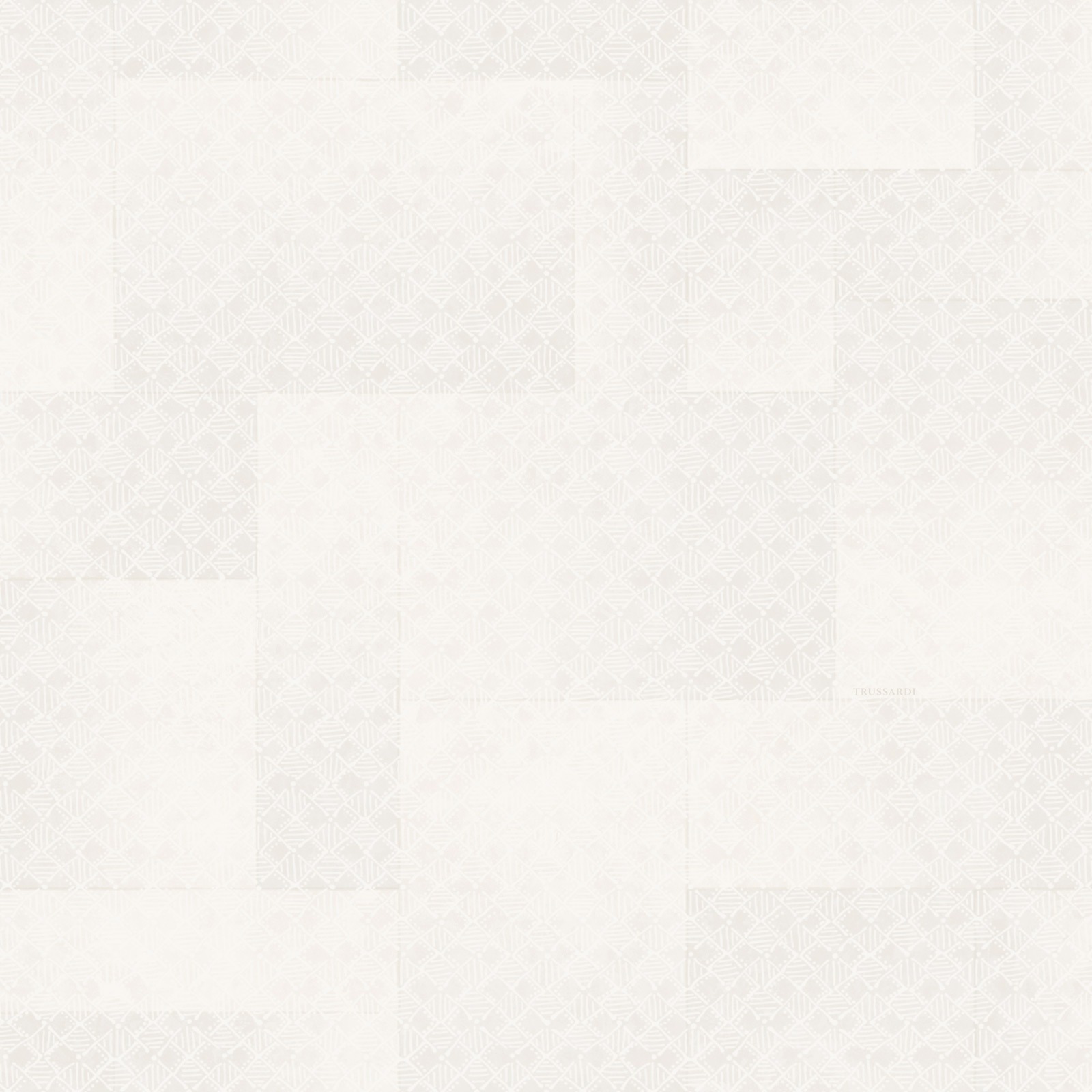 Обои Trussardi арт Z30345 фото 1