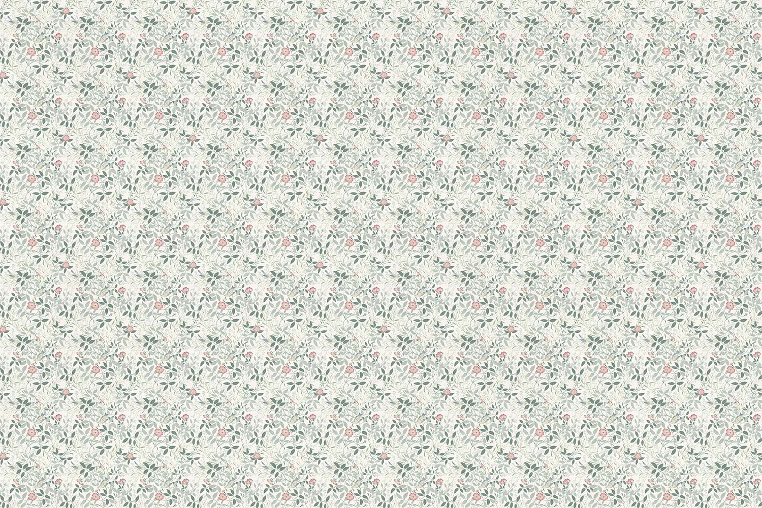 Фотообои Factura арт Erba Rosa 02 фото 1